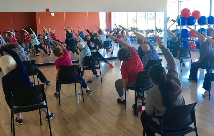 Cognitive Groove: Dance to Boost Brain Health and Movement